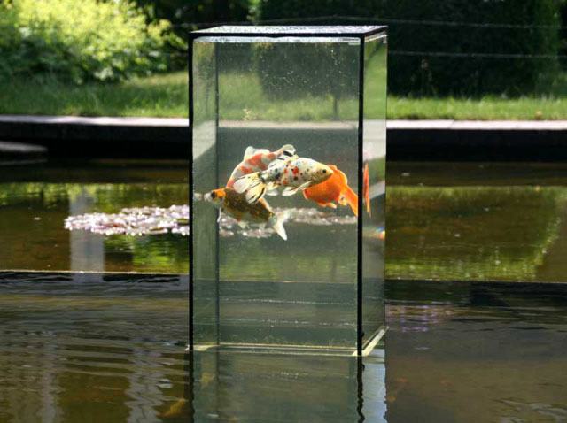Aquatower large 50